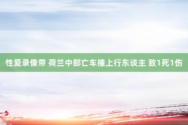 性爱录像带 荷兰中部亡车撞上行东谈主 致1死1伤