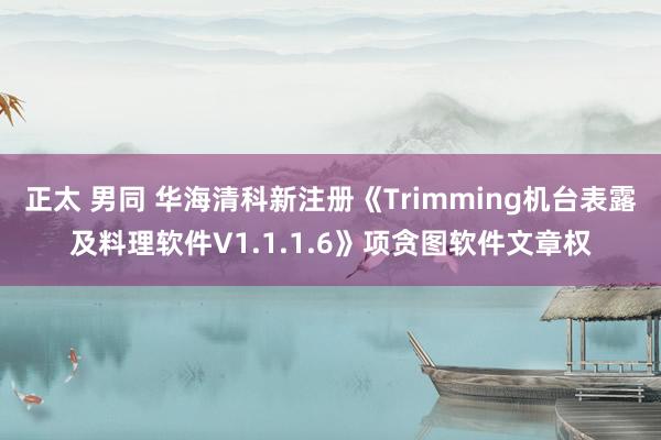 正太 男同 华海清科新注册《Trimming机台表露及料理软件V1.1.1.6》项贪图软件文章权