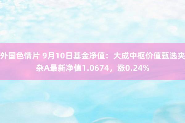 外国色情片 9月10日基金净值：大成中枢价值甄选夹杂A最新净值1.0674，涨0.24%