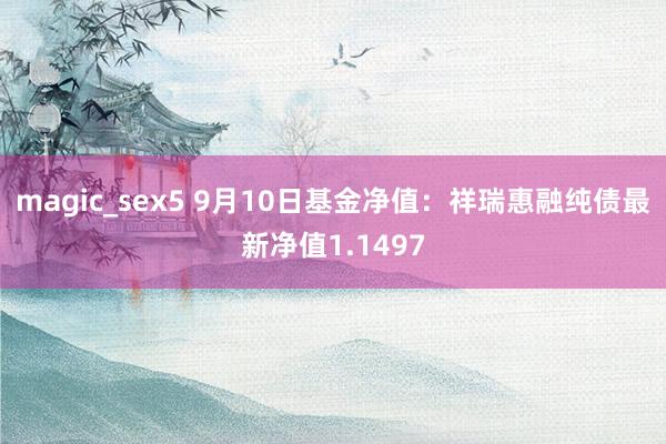 magic_sex5 9月10日基金净值：祥瑞惠融纯债最新净值1.1497