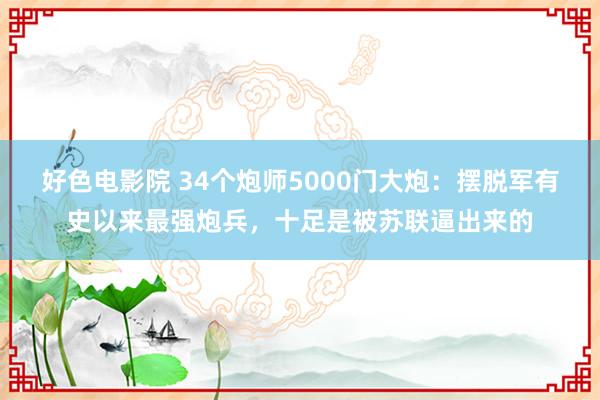 好色电影院 34个炮师5000门大炮：摆脱军有史以来最强炮兵，十足是被苏联逼出来的