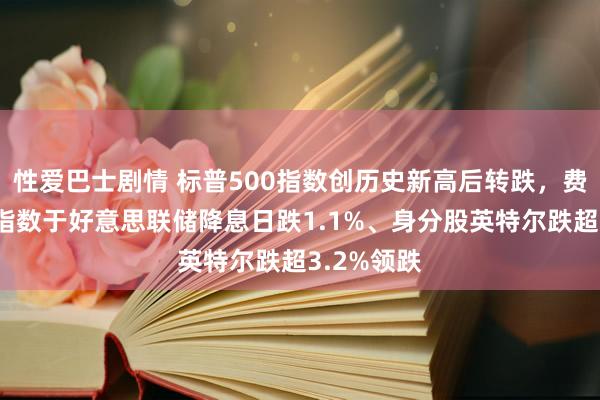 性爱巴士剧情 标普500指数创历史新高后转跌，费城半导体指数于好意思联储降息日跌1.1%、身分股英特尔跌超3.2%领跌