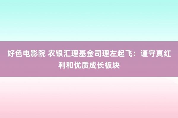 好色电影院 农银汇理基金司理左起飞：谨守真红利和优质成长板块