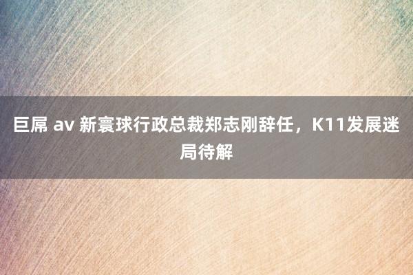 巨屌 av 新寰球行政总裁郑志刚辞任，K11发展迷局待解