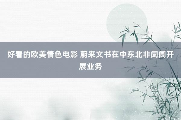 好看的欧美情色电影 蔚来文书在中东北非阛阓开展业务