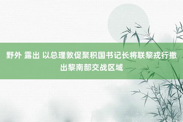 野外 露出 以总理敦促聚积国书记长将联黎戎行撤出黎南部交战区域