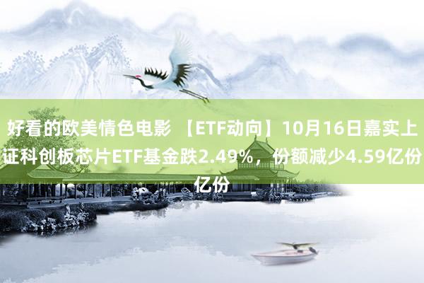 好看的欧美情色电影 【ETF动向】10月16日嘉实上证科创板芯片ETF基金跌2.49%，份额减少4.59亿份