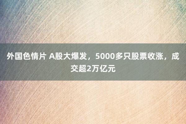 外国色情片 A股大爆发，5000多只股票收涨，成交超2万亿元