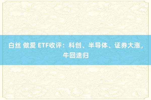 白丝 做爱 ETF收评：科创、半导体、证券大涨，牛回速归