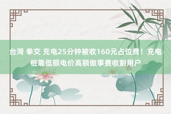 台灣 拳交 充电25分钟被收160元占位费！充电桩靠低额电价高额做事费收割用户