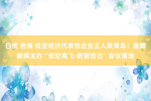 白虎 色情 低空经济代表性企业王人聚青岛！蓝鲸新闻主办“低空高飞·数智改日”会议落地