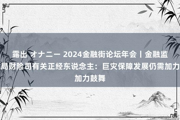 露出 オナニー 2024金融街论坛年会丨金融监管总局财险司有关正经东说念主：巨灾保障发展仍需加力鼓舞