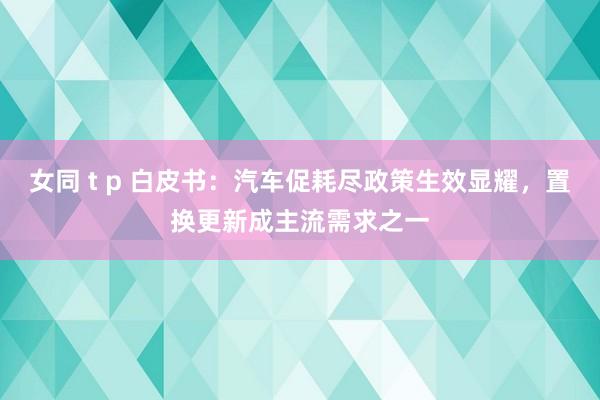 女同 t p 白皮书：汽车促耗尽政策生效显耀，置换更新成主流需求之一