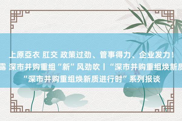 上原亞衣 肛交 政策过劲、管事得力、企业发力！高质料案例接连裸露 深市并购重组“新”风劲吹丨“深市并购重组焕新质进行时”系列报谈