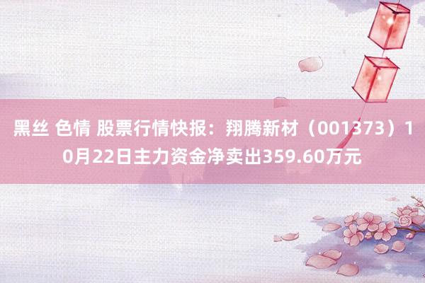 黑丝 色情 股票行情快报：翔腾新材（001373）10月22日主力资金净卖出359.60万元