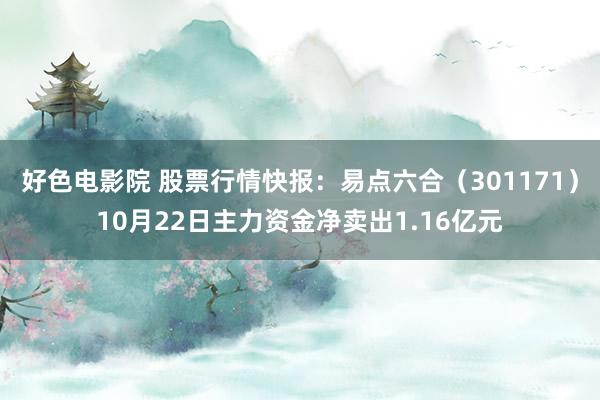 好色电影院 股票行情快报：易点六合（301171）10月22日主力资金净卖出1.16亿元