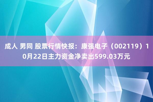 成人 男同 股票行情快报：康强电子（002119）10月22日主力资金净卖出599.03万元