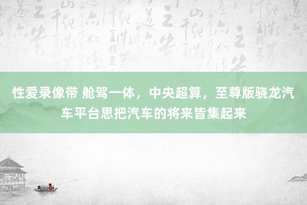 性爱录像带 舱驾一体，中央超算，至尊版骁龙汽车平台思把汽车的将来皆集起来