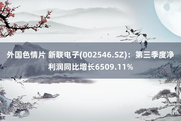 外国色情片 新联电子(002546.SZ)：第三季度净利润同比增长6509.11%