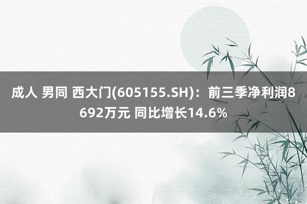 成人 男同 西大门(605155.SH)：前三季净利润8692万元 同比增长14.6%