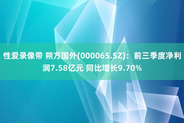 性爱录像带 朔方国外(000065.SZ)：前三季度净利润7.58亿元 同比增长9.70%