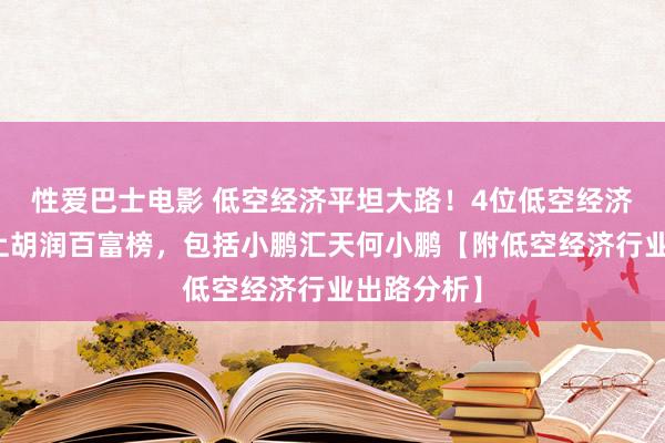 性爱巴士电影 低空经济平坦大路！4位低空经济企业家登上胡润百富榜，包括小鹏汇天何小鹏【附低空经济行业出路分析】