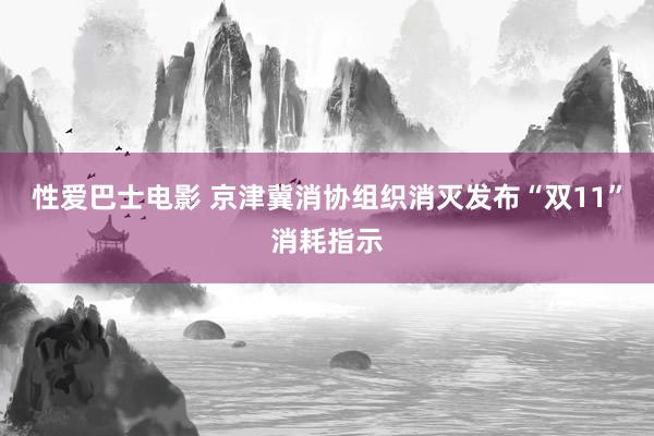 性爱巴士电影 京津冀消协组织消灭发布“双11”消耗指示