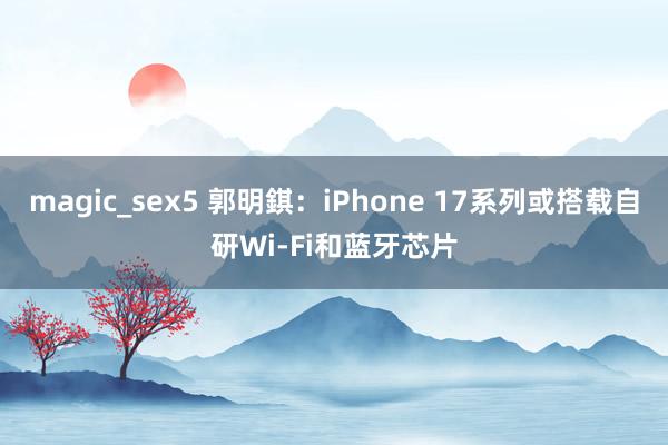 magic_sex5 郭明錤：iPhone 17系列或搭载自研Wi-Fi和蓝牙芯片