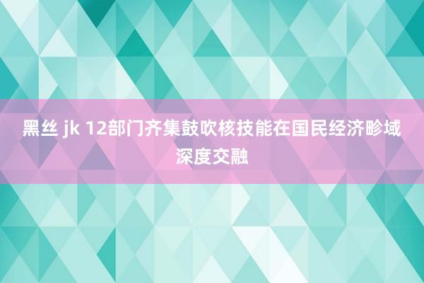 黑丝 jk 12部门齐集鼓吹核技能在国民经济畛域深度交融