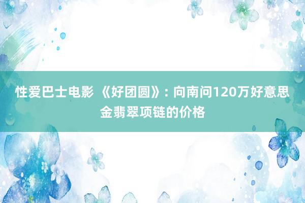 性爱巴士电影 《好团圆》: 向南问120万好意思金翡翠项链的价格