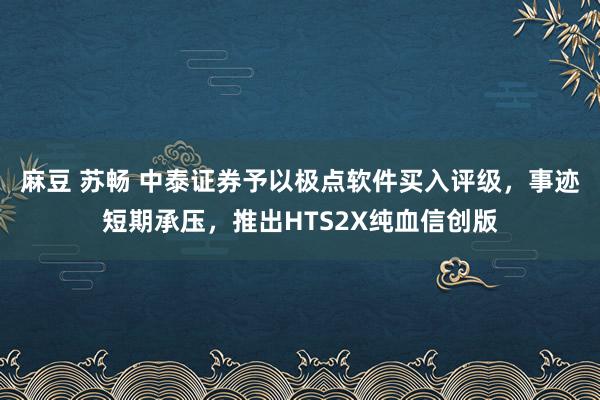 麻豆 苏畅 中泰证券予以极点软件买入评级，事迹短期承压，推出HTS2X纯血信创版