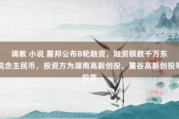 调教 小说 麓邦公布B轮融资，融资额数千万东说念主民币，投资方为湖南高新创投、麓谷高新创投等