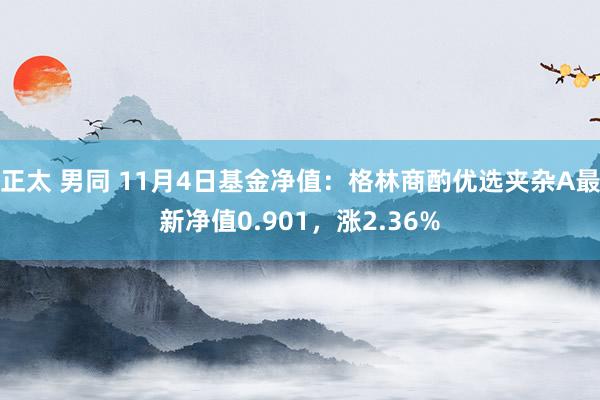 正太 男同 11月4日基金净值：格林商酌优选夹杂A最新净值0.901，涨2.36%