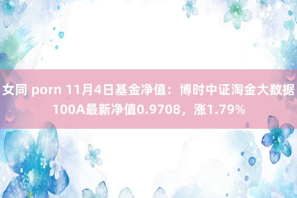 女同 porn 11月4日基金净值：博时中证淘金大数据100A最新净值0.9708，涨1.79%