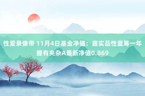 性爱录像带 11月4日基金净值：嘉实品性蓝筹一年握有夹杂A最新净值0.869