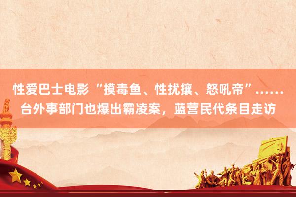 性爱巴士电影 “摸毒鱼、性扰攘、怒吼帝”……台外事部门也爆出霸凌案，蓝营民代条目走访