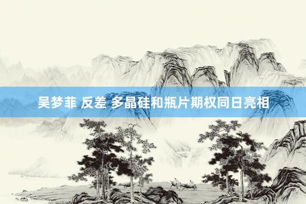吴梦菲 反差 多晶硅和瓶片期权同日亮相