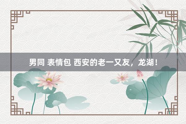 男同 表情包 西安的老一又友，龙湖！