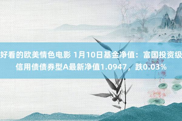 好看的欧美情色电影 1月10日基金净值：富国投资级信用债债券型A最新净值1.0947，跌0.03%
