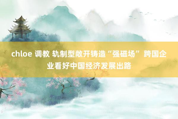 chloe 调教 轨制型敞开铸造“强磁场” 跨国企业看好中国经济发展出路