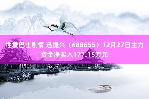 性爱巴士剧情 迅捷兴（688655）12月27日主力资金净买入177.15万元