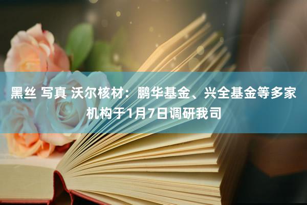 黑丝 写真 沃尔核材：鹏华基金、兴全基金等多家机构于1月7日调研我司